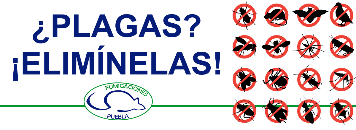 Fumigaciones Puebla