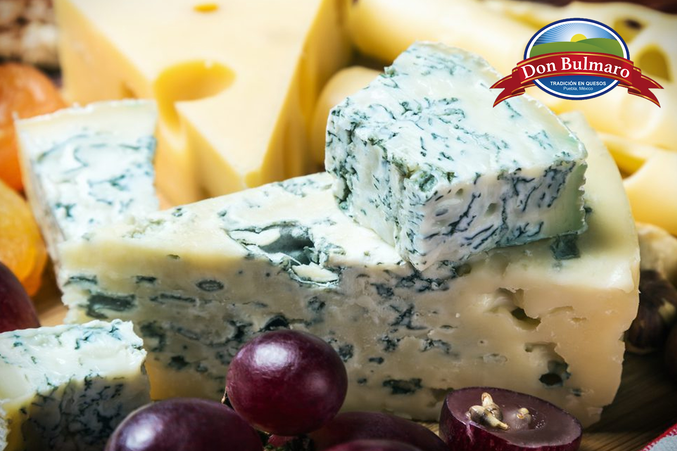 Queso Azul Holandés - Quesos Don Bulmaro