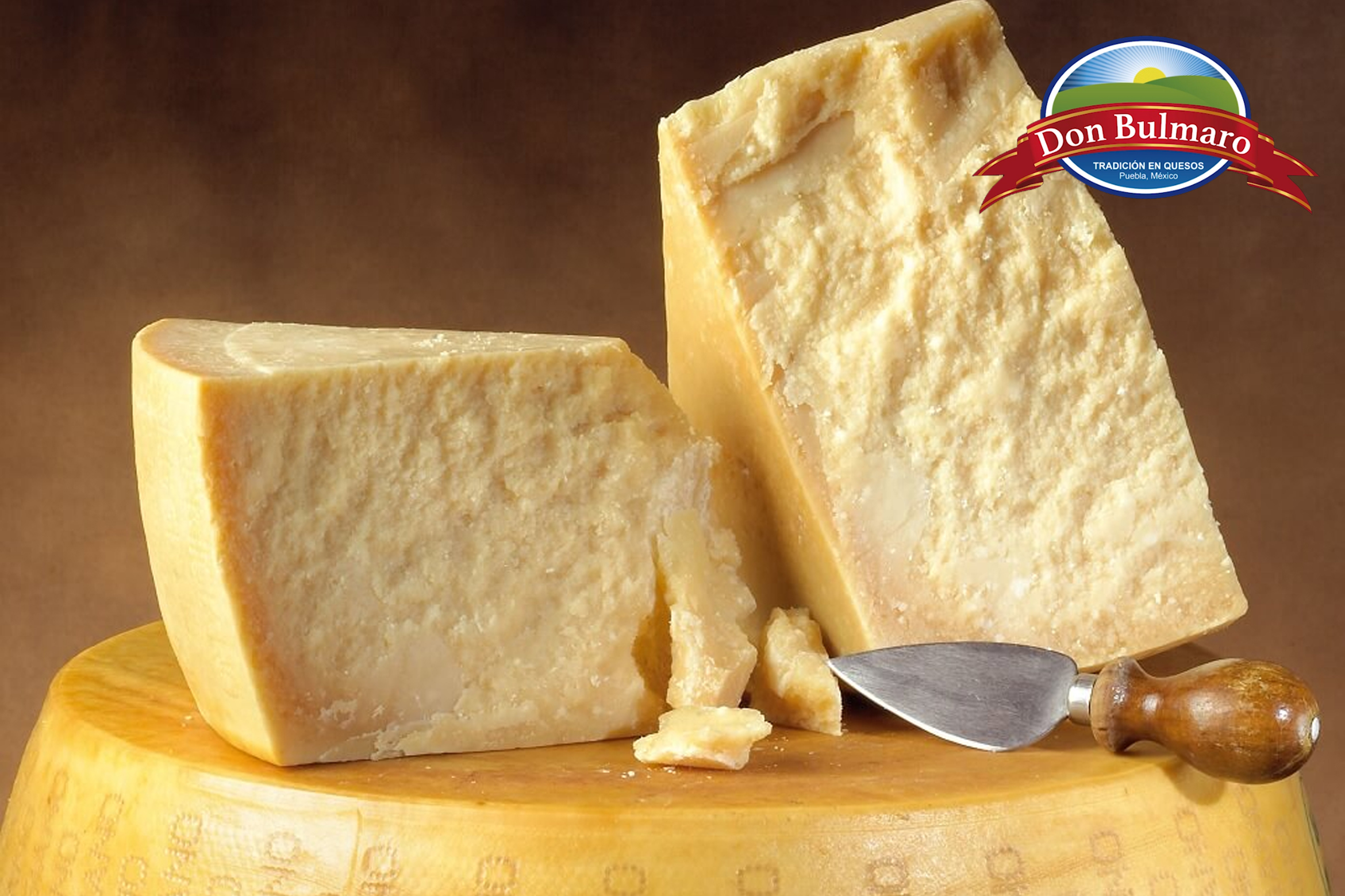 Queso Parmesano Uruguayo - Quesos Don Bulmaro